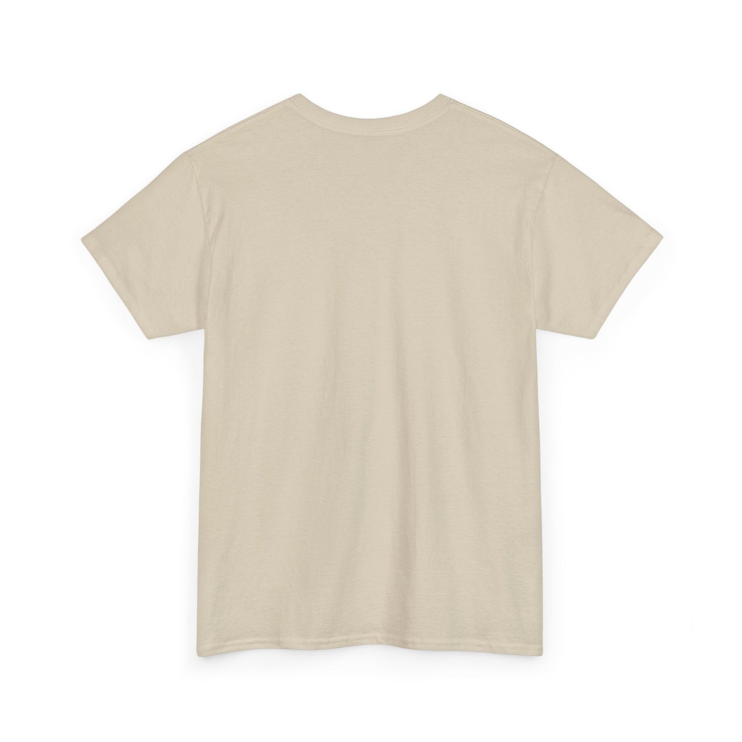 Room on Fire Classic Tee
